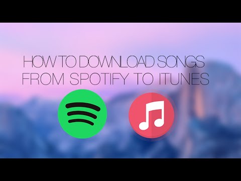 Download spotify playlist free